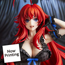 High School DxD Rias Gremory: Light Novel 15th Anniversary ver.